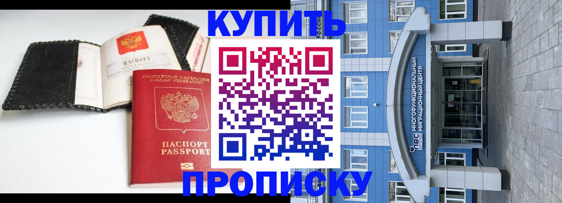 прописка гарантия в Заинске